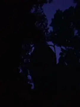 Živý XXX chat hornyteacher19