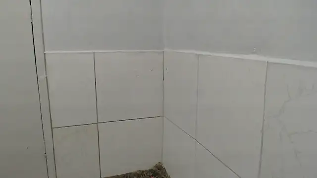 Show de brb8tor na webcam