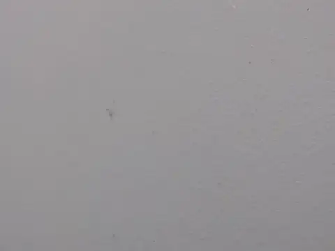Živý XXX chat Adriana_0312