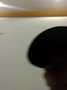 Ldmenoln Webbikameraesitys