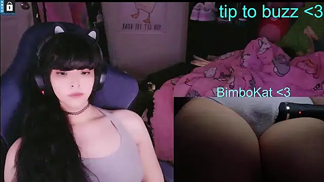 BimboCat: вебкам-шоу