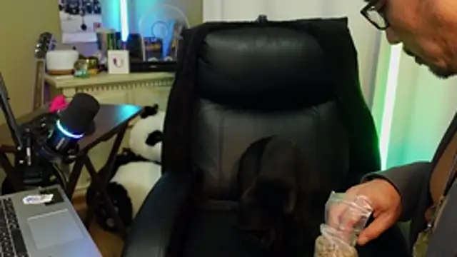 Ghost11_11 live XXX chat