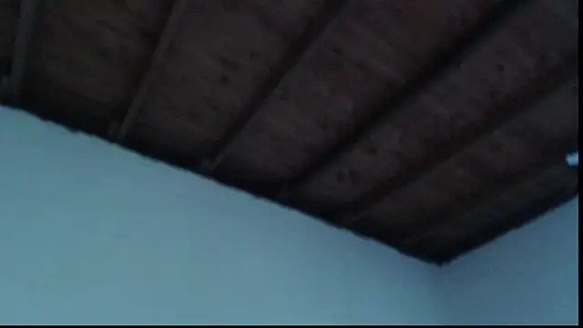 ROOKERT élő XXX-chatje