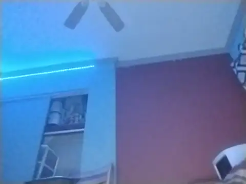 ReallyReallyReal Show Webcam