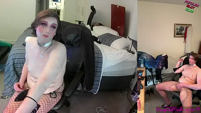 SissyCDMish – Live XXX-chat