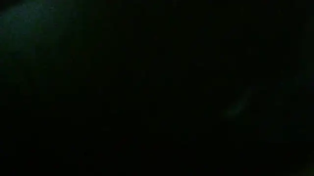 flayeyena Pertunjukan Webcam