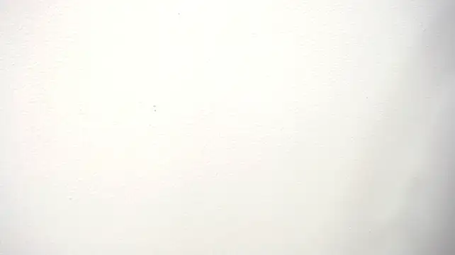 Chat XXX Live Megann_Scoth