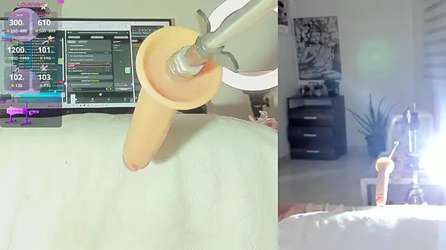 Chat +18 de sofi_velez ao vivo