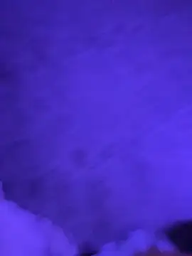 Lionayowe Show Webcam