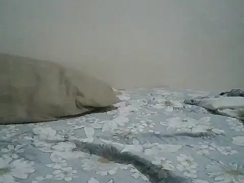 عرض كام Hamzahk