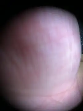 LuscousPussy Show in webcam