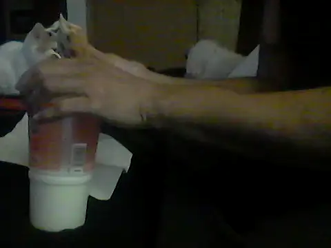 Silencio26 라이브 XXX 채팅