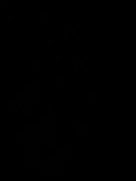 عرض كام Elafisionado2026