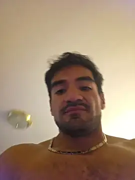 Show Webcam de piggylatino