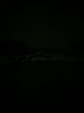 perlados Webcam show