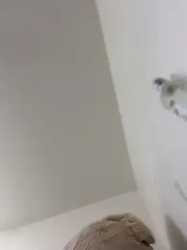 צ'אט XXX בשידור חי של Susy_444