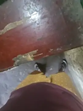 XXXking26 Adlı Modelin Canlı XXX Sohbeti
