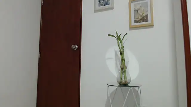 Chat XXX ao vivo de Ann_y