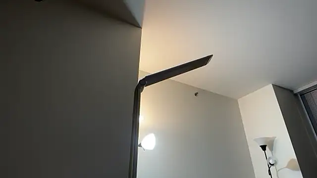 happynewyear111222のウェブカメラショー