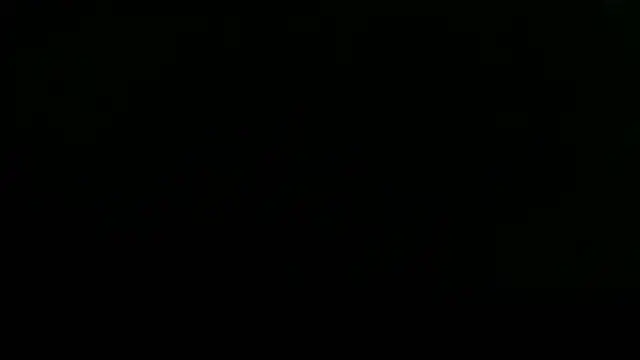 Show webcam de flayeyena
