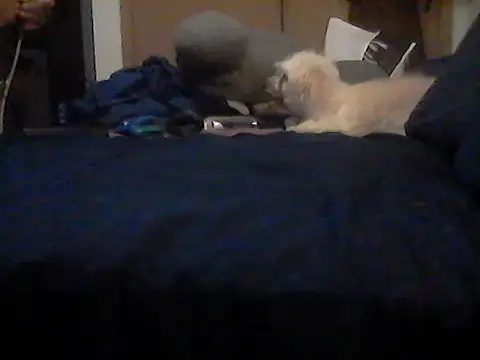 XXX chat uživo modela Silencio26