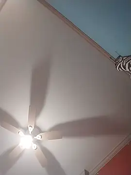 Chat XXX en directo de ReallyReallyReal