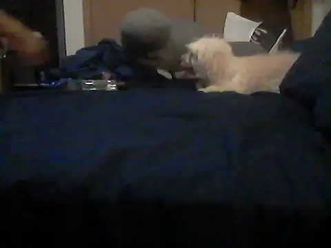 Chat XXX en directo de Silencio26