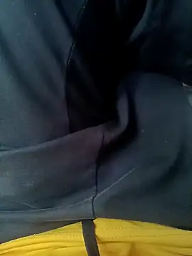 Show de webcam de v310