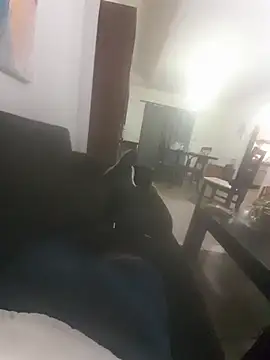Elafisionado2026 Webcamshow