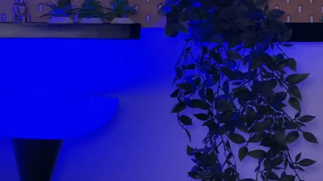 Chat +18 de SamDornan51 ao vivo