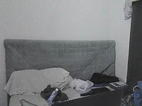 alphalatinobearx Chat XXX in diretta