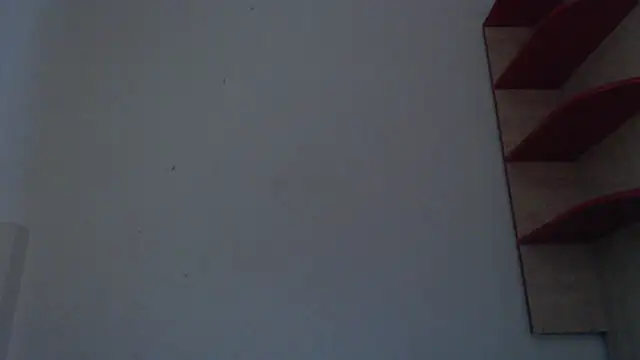 Fudzik0's Live XXX Chat