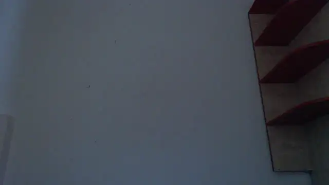 Fudzik0's Live XXX Chat