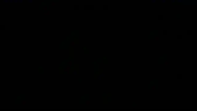 SexWorkerXのウェブカメラショー