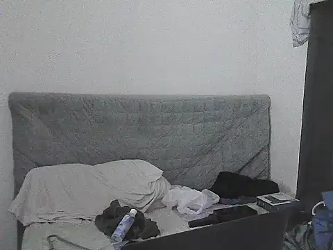 alphalatinobearx Chat XXX live