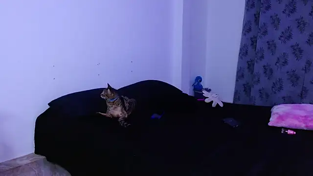 Show de webcam de miia-liiam