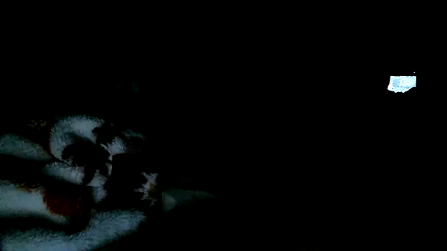 SexyB214's Live XXX Chat