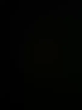 Petuttini's Webcam Show