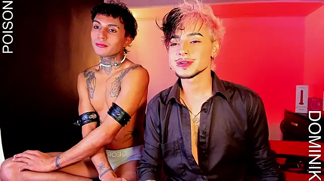 Dominik_Eclipse 라이브 XXX 채팅