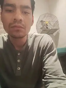 Jhon893n Webbikameraesitys