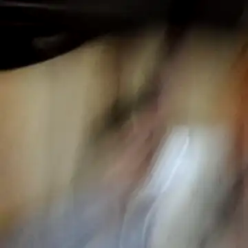 Chat XXX ao vivo de Ortiz3404