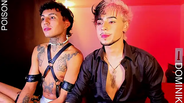 Dominik_Eclipse XXX чат на живо