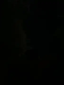 JerkingCloud55 Webcam Show
