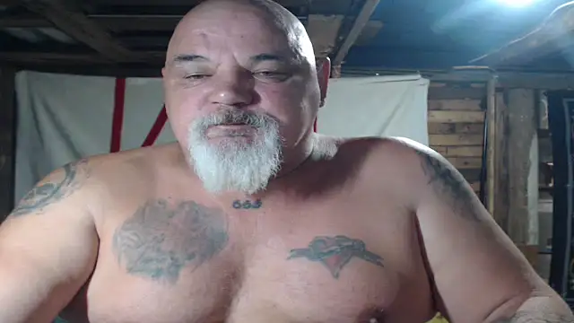 Newfiesausage1972 Webcam-Show