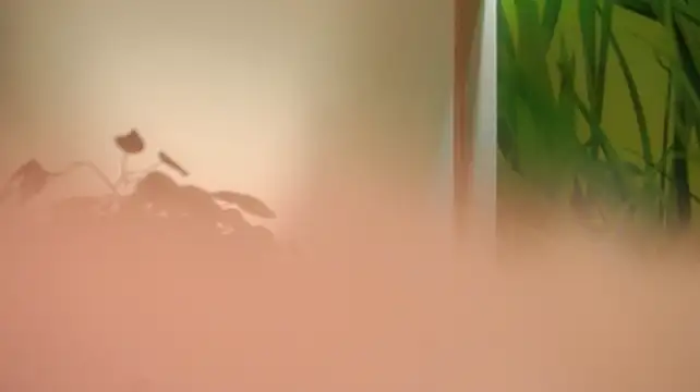 Czat XXX na żywo – ElinPoston