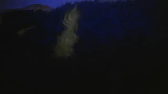 Chat XXX ao vivo de bialoba7