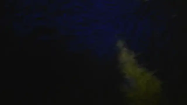 bialoba7's Live XXX Chat