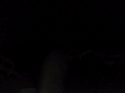 perlados webcam show
