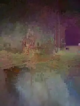 Roblidio Pertunjukan Webcam