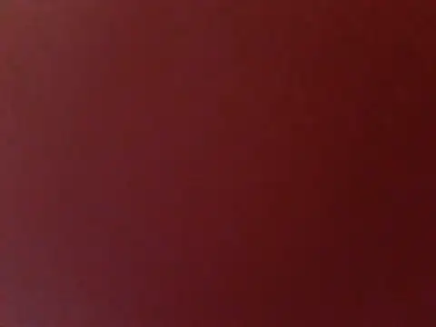 aminaFoxs 现场XXX聊天
